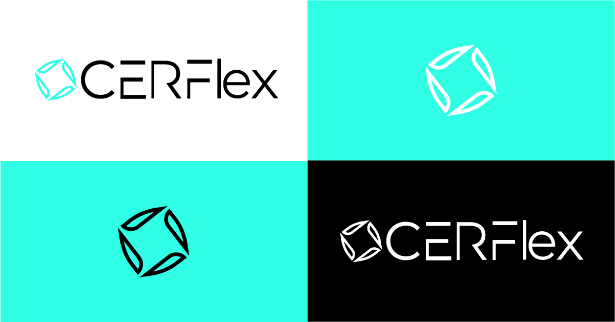 logo proyecto cerflex varios colores